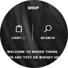Transparent Vertical Menu