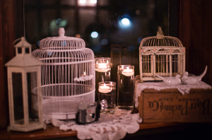 Kansas City Vintage Rentals | Lanterns, Birdcages, Vintage Cameras