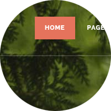 Transparent Header with Centered Logo