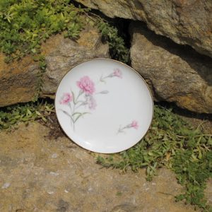 Carnation China 6in. Plates