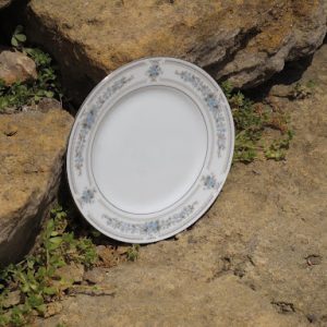 Blue Floral China Salad Plates with Silver Accents