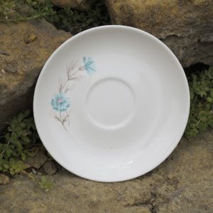 Blue and Pink Wildflower China Saucers