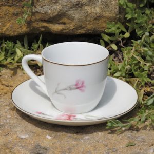 Carnation China Small Cup and Saucer Set