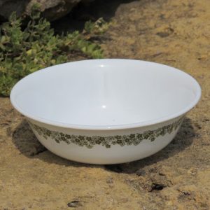 Spring Blossom Pyrex Pattern China Small 6 in. Bowls