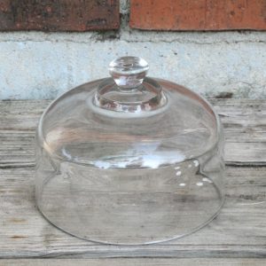Small Clear Cloche