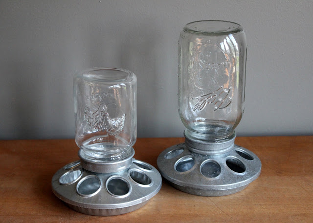Chicken feeder attachments for pint or quart-sized mason jars available for rent from www.momentarilyyours.com, $2 each.