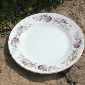 Pink and Sage Floral China Salad Plates