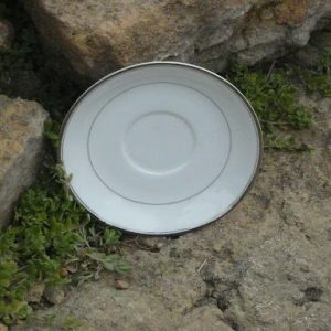 Double Silver China Saucers