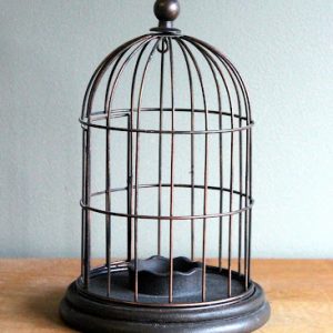 Small Bronze Birdcage