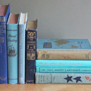 Assorted Blue Hardcover Books