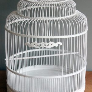 White Birdcage