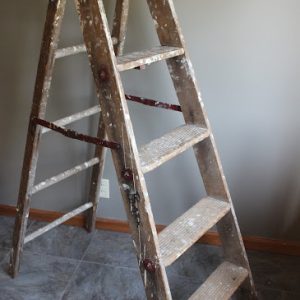 Chippy Ladder